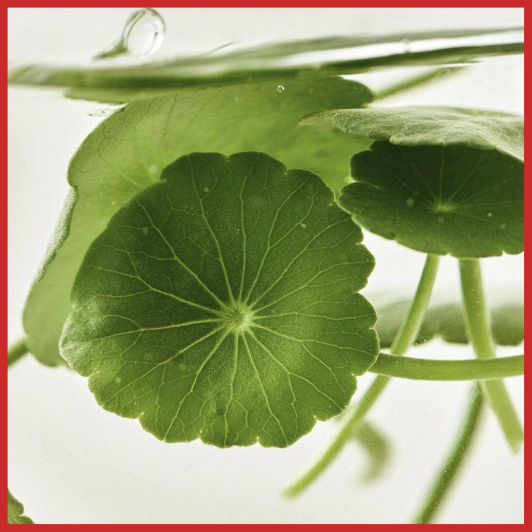 Beauty of Joseon Light On Serum : Centella + Vita C 30ml