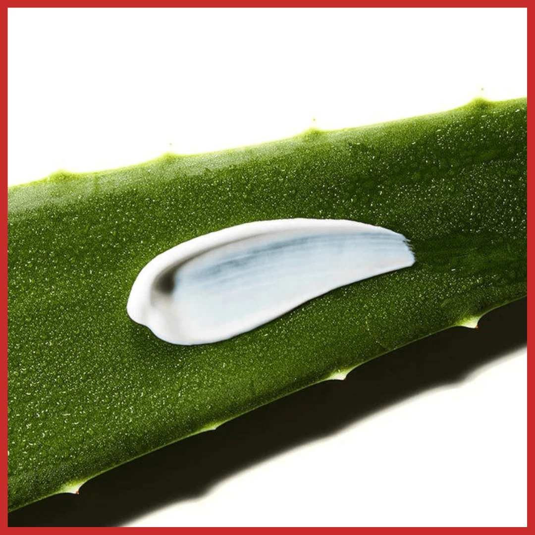 COSRX Aloe Soothing Sun Cream SPF50+ PA+++ 50ML