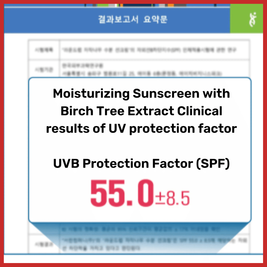 ROUND LAB Birch Juice Moisturizing Sun Cream 50ml