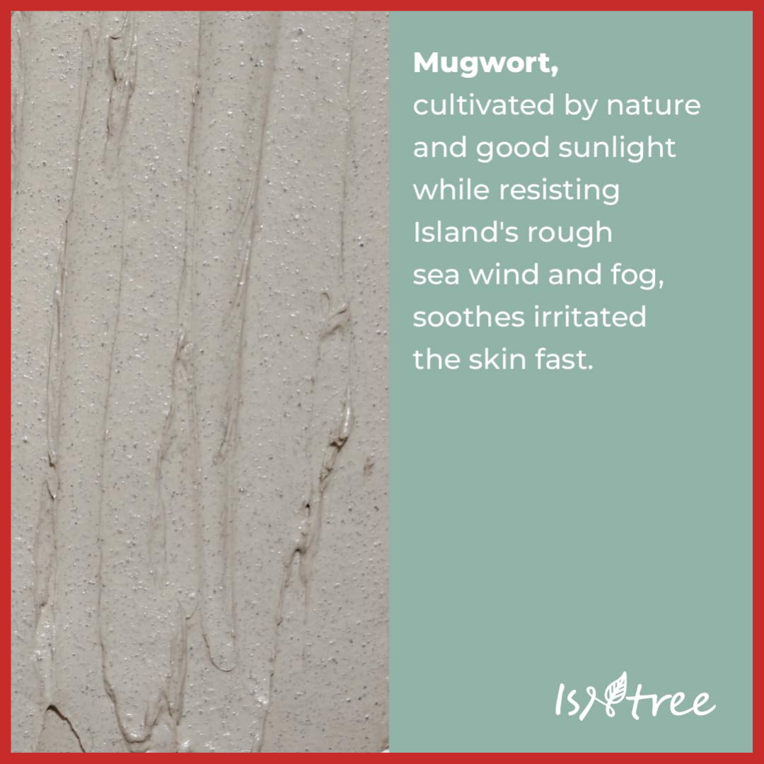 ISNTREE Mugwort Calming Clay Mask 100ml