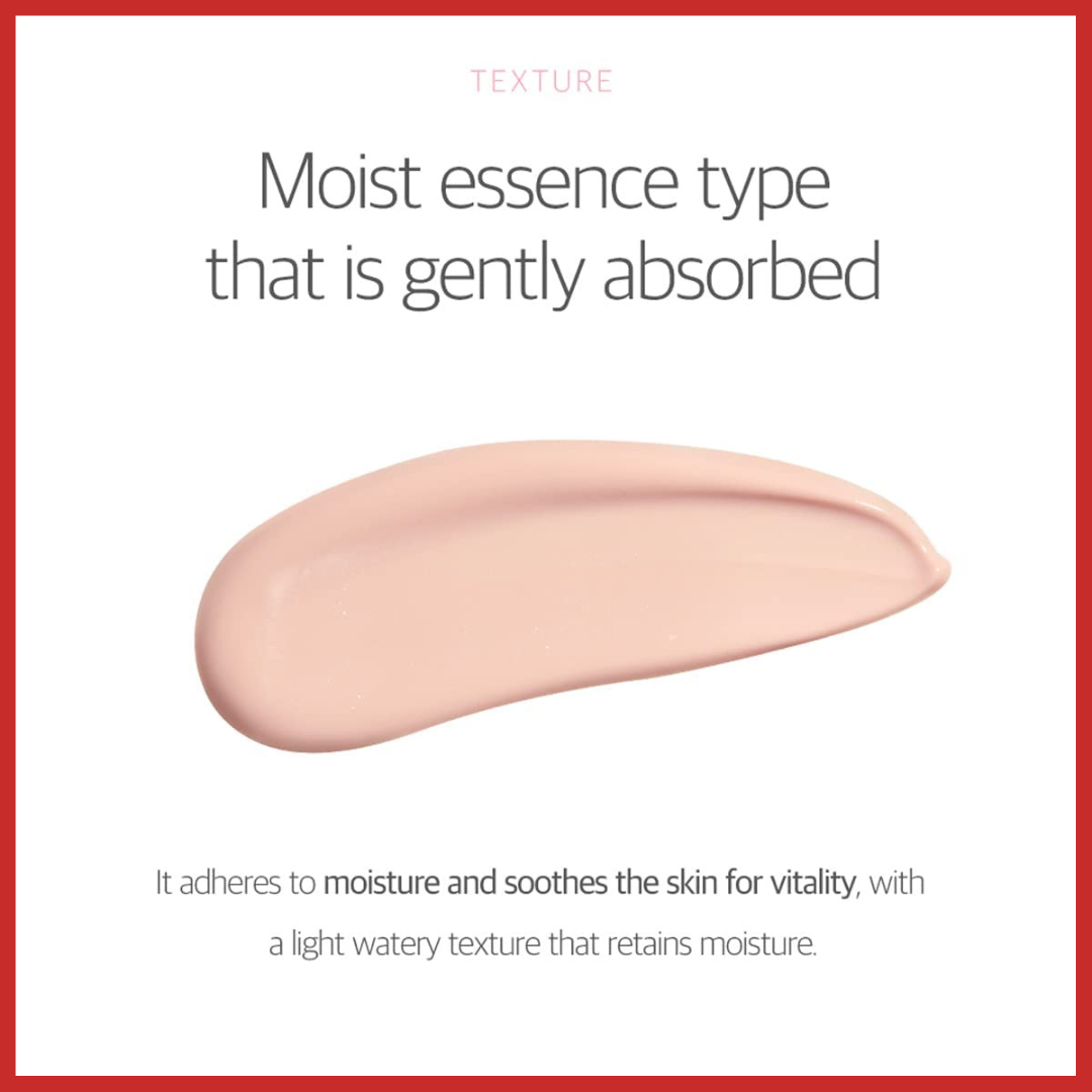 ROUND LAB Birch Moisture Tone-Up Sunscreen 50ml